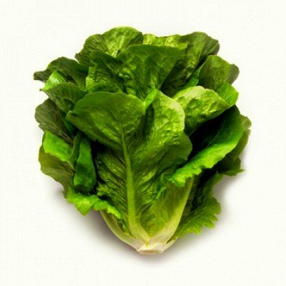 Salāti romiešu MAXIMUS 20 gran Rijk Zwaan