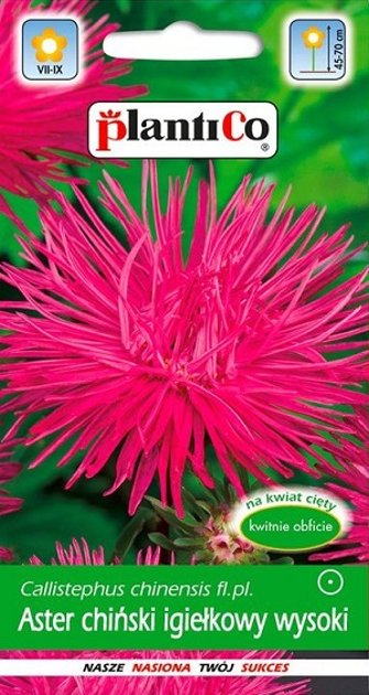 Asteres ķīnas adatainās AMARANTOWY 1 g PlantiCo
