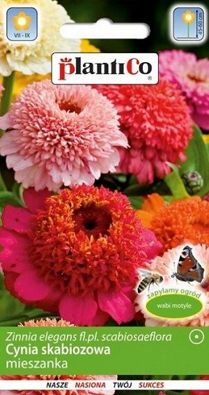 Cinnijas skabiozziedu MIX Cynia skabiozowa 1 g PlantiCo