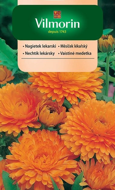 Ārstniecības kliņģerīte pildīta oranža 3 g Vilmorin