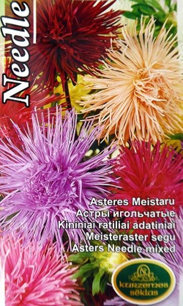 Asteres ķīnas Needle Meistaru MIX 0.5 g Kurzemes Sēklas