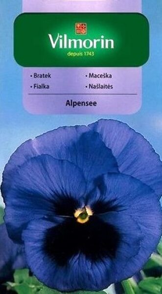 Atraitnītes lielziedu gaiši zilas SZWAJCARSKI ALPENSEE 0.5 g Vilmorin