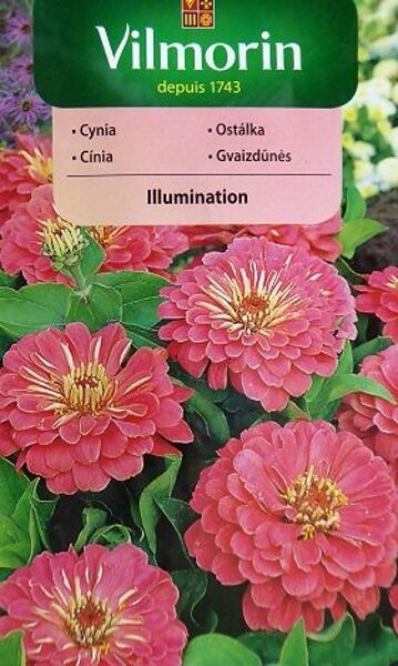 Cinnijas dāliju Illumination 1 g Vilmorin   A.P.