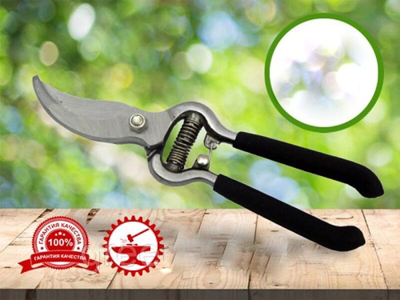 DĀRZA ZARU UN ZIEDU ŠĶĒRES ANGARDEN POLIJA