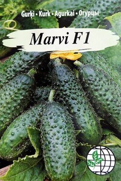 Gurķi MARVI F1  12 gab Agrimatco