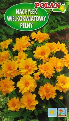 Lielziedu brūnactiņa zemā pildītā 100 mg Polan