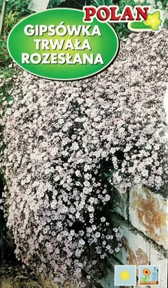 Ložņu ģipsene Rozeslana rozā 1 g Polan