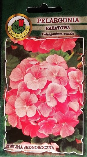 Zonālā pelargonija laša/persiku krāsā 10 gab PNOS