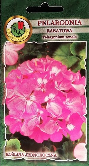 Zonālā pelargonija rozā ar baltu vidiņu 10 gab PNOS