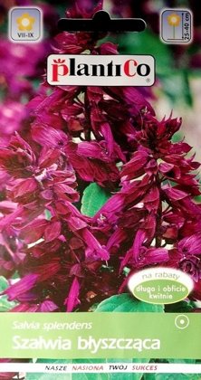 Spilgtā salvija violeta 0.5 g PlantiCo
