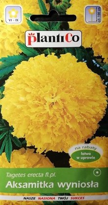 Samtenes augstās dzeltenas Alaska 1 g PlantiCo A.P.