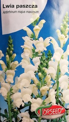 Lielās lauvmutītes baltas 1 g Torseed