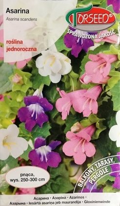 Iesārtā asariņa jeb maurandija mix 10 gab Torseed