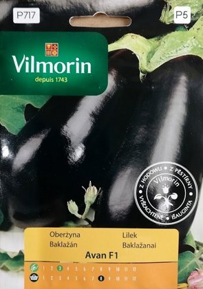 Baklažāni AVAN F1 500 mg Vilmorin 