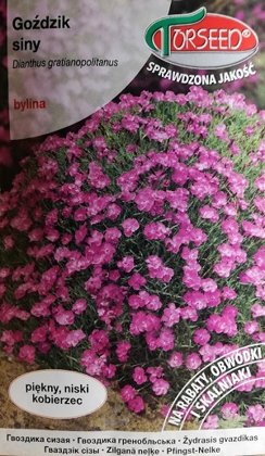     Zilganā neļķe 0.1 g Torseed A.P.