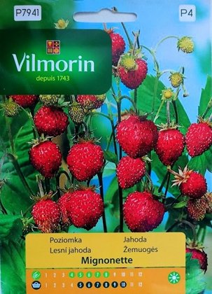 Zemenes MIGNONETTE  100 mg Vilmorin