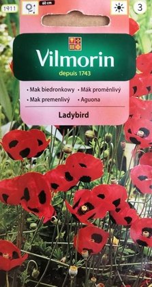 Magones LADYBIRD 400 mg Vilmorin