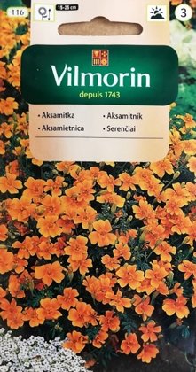 Samtenes sīklapu oranžas 500 mg Vilmorin