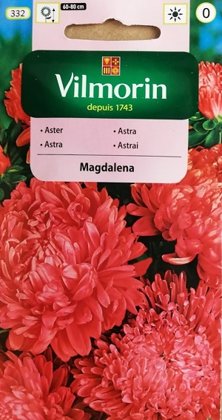 Asteres ķīnas peoniju Magdalena 500 mg Vilmorin