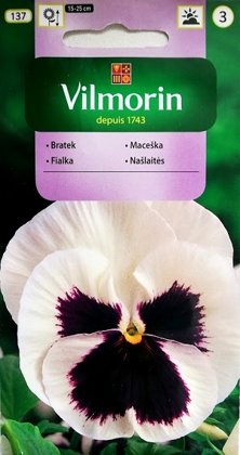 Atraitnītes lielziedu  500 mg Vilmorin   A.P.