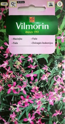 Matiola 5 g Vilmorin