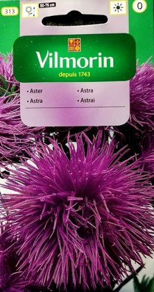 Asteres ķīnas adatainās violetas 500 mg Vilmorin