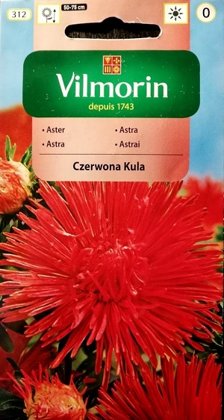 Asteres ķīnas adatainās Czerwona Kula 500 mg Vilmorin