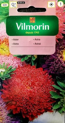 Asteres ķīnas princešu MIX 1 g Vilmorin