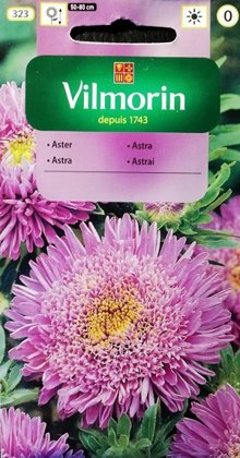 Asteres ķīnas princešu violetas 500 mg Vilmorin
