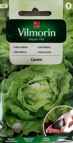 Salāti galviņu Cassini 150 granulas Vilmorin