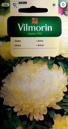 Asteres ķīnas peoniju kremowy 500 mg Vilmorin