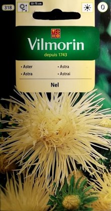 Asteres ķīnas adatainās NEL 500 mg Vilmorin