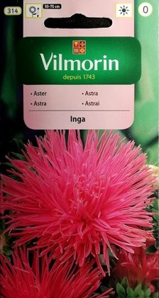 Asteres ķīnas adatainās INGA 500 mg Vilmorin
