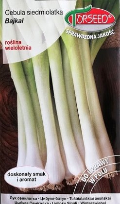 Lielloku sīpoli Bajkal 0.5 g Torseed