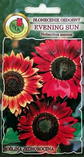 Saulespuķes dekoratīvās EVENING SUN 2 g PNOS