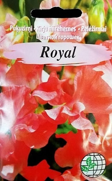 Puķuzirņi smaržīgie Royal sārti rozā 2 g Agrimatco