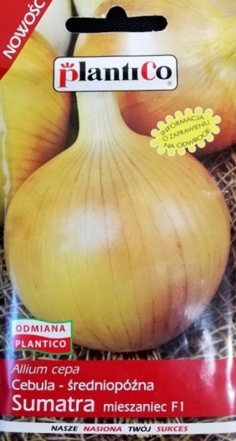 Sīpoli Sumatra F1 5 g PlantiCo