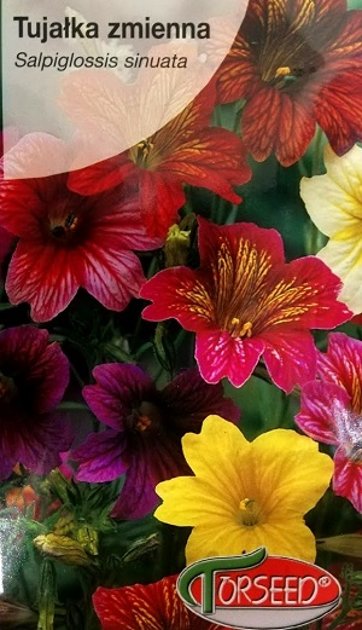 Salpiglose jeb taurespuķe MIX 0,5 g Torseed