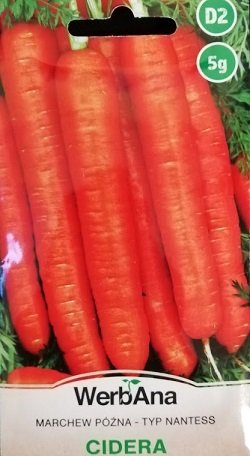 Burkāni CIDERA 5 g WerbAna