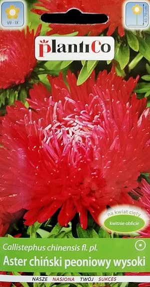 Asteres ķīnas peoniju STANISLAW 1 g PlantiCo