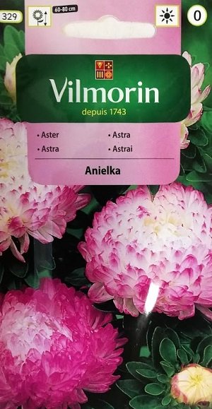 Asteres ķīnas peoniju ANIELKA 500 mg Vilmorin