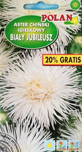 Asteres ķīnas adatainās BIALY JUBILEUSZ 1.2 g POLAN