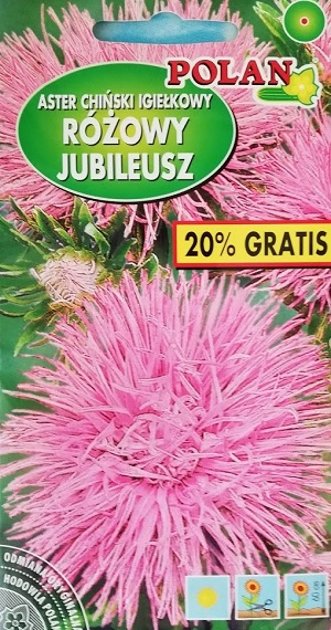 Asteres ķīnas adatainās ROZOWY JUBILEUSZ 1.2 g POLAN A.P.