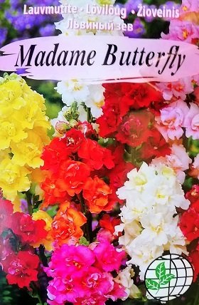 Lielās lauvmutītes Madame Butterfly MIX  15 gab Agrimatco