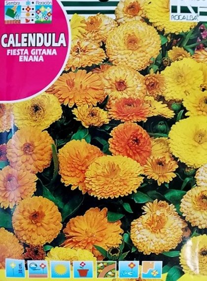 Ārstniecības kliņģerīte pildīta Fiesta Gitana 3 g  ROCALBA 