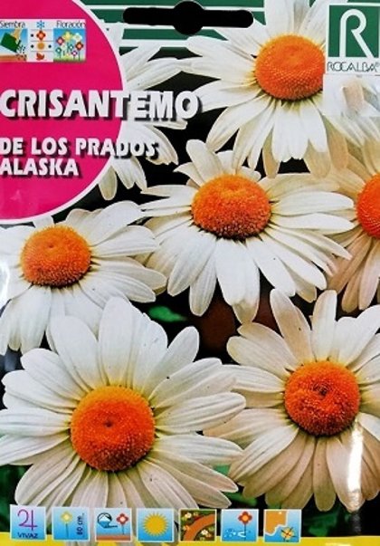 Lielziedu pīpenes baltās ALASKA 3 g ROCALBA