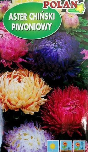 Asteres ķīnas peoniju MIX 1 g Polan