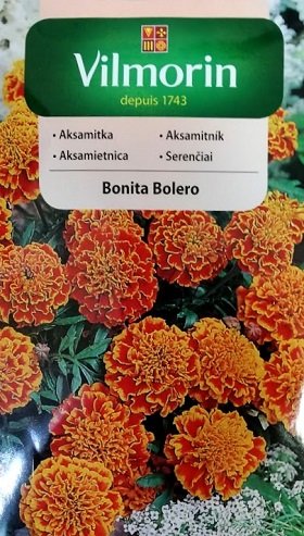 Samtenes zemās BONITA BOLERO 1 g Vilmorin
