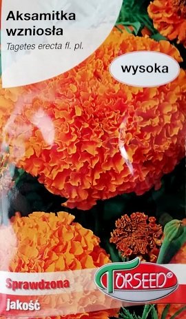 Samtenes augstās oranžas 1 g Torseed