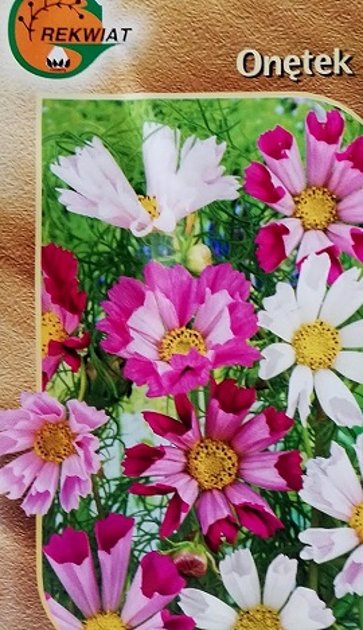 Divplūksnu kosmejas klajās Sea Shells MIX 1 g Rekwiat